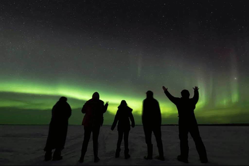 Silhouettes of guests watching the aurora borealis during a night expedition